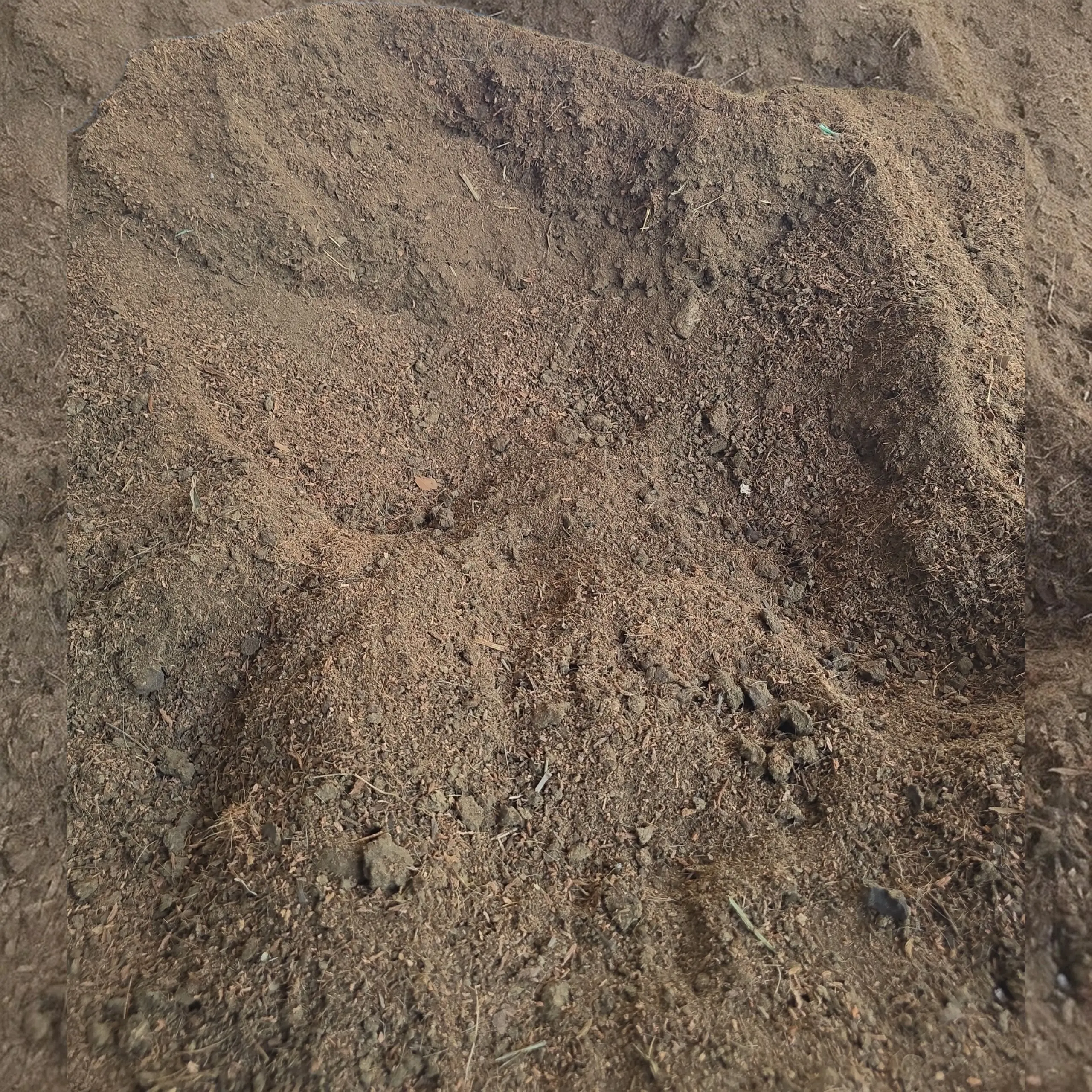 Cocomix Potting Media – Coco Dust, Cow Dung and Rice Husk Blend 3