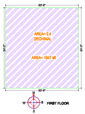 Low budget single floor house design