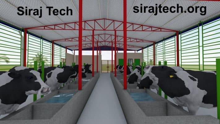 cattle shed design