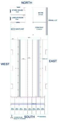 Low cost cow shed design