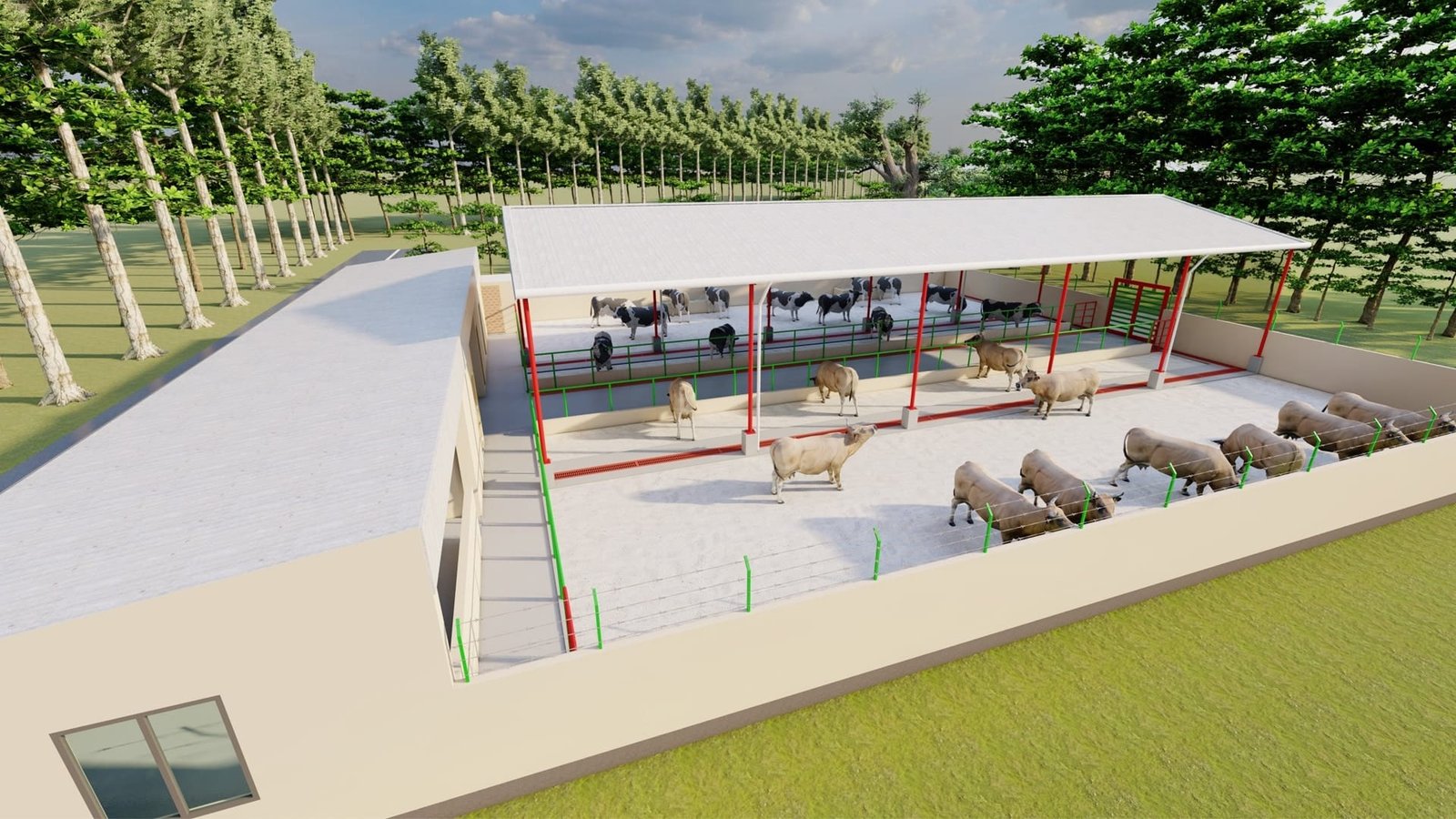 Cow Shed Design and Plans | ডাঃ নুরুল আমিন স্যারের মতে আধুনিক গরুর শেড ডিজাইন