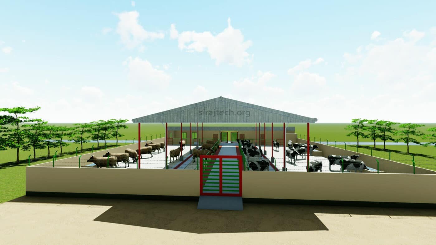 20 cow dairy farm shed design