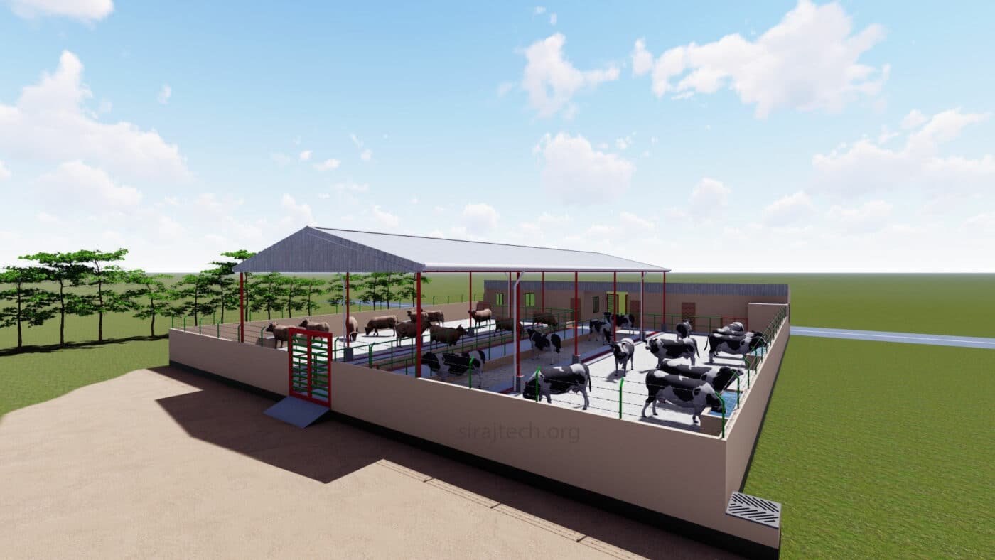 Small dairy farm design