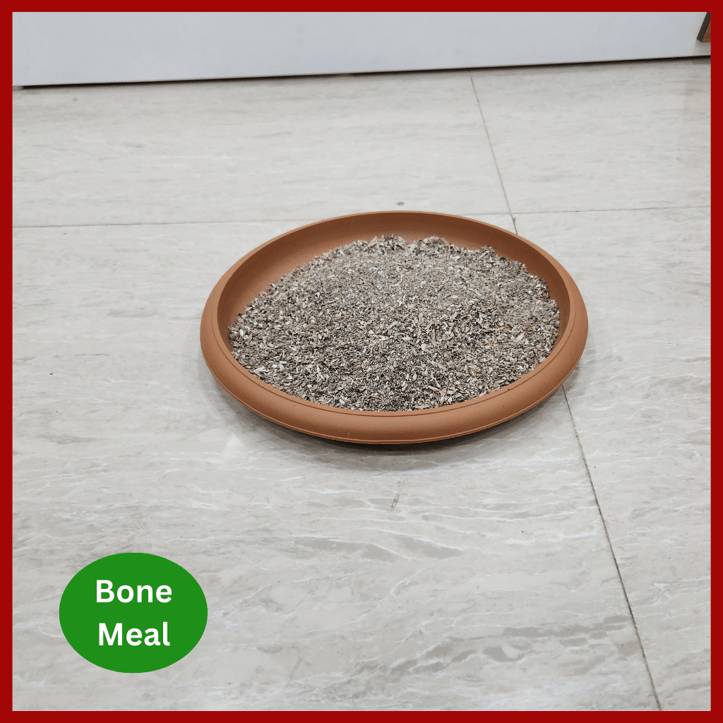 Bone meal fertilizer - হাড়ের গুড়া 2