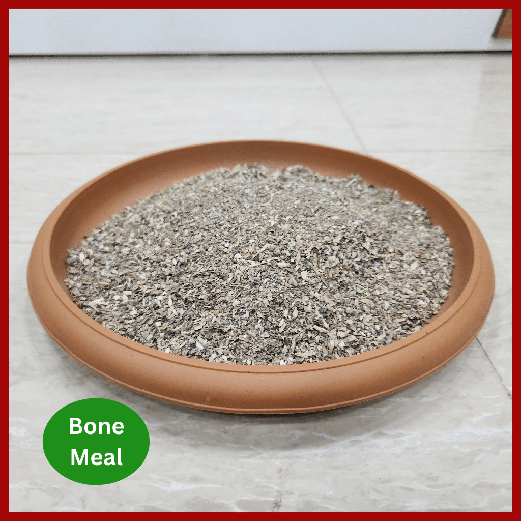 Bone meal fertilizer - হাড়ের গুড়া