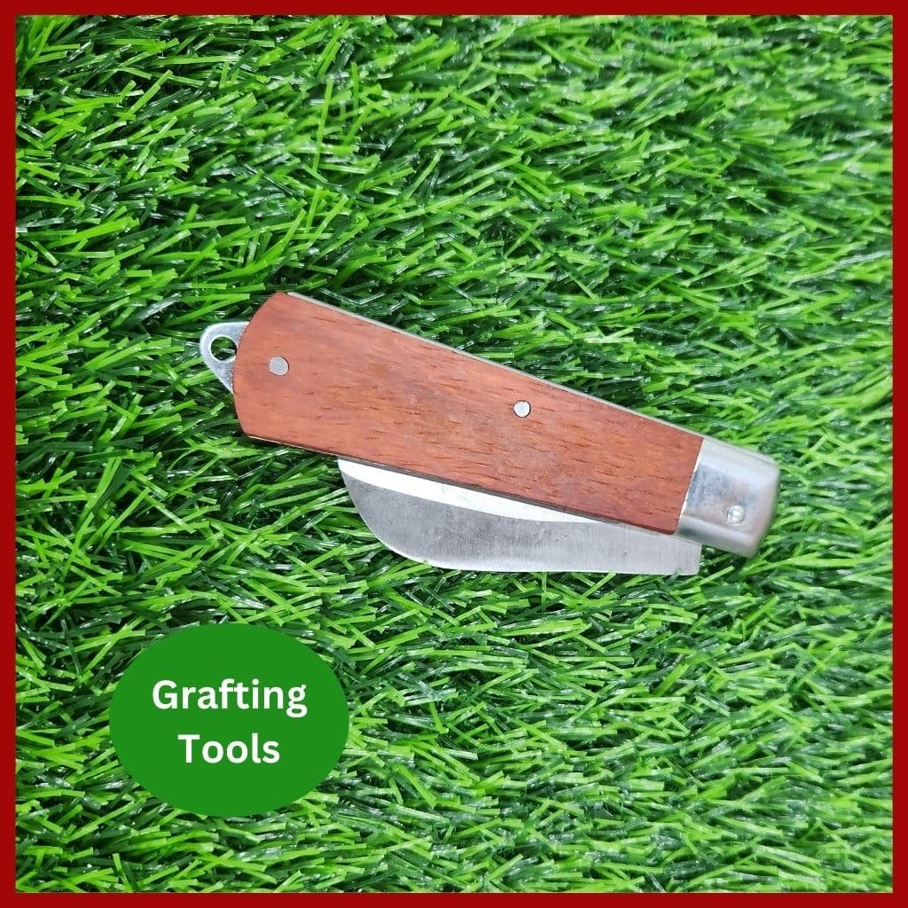 Grafting knife Tools - প্রফেশনাল নার্সারি গ্রাফটিং মাস্টার ছুরি 3