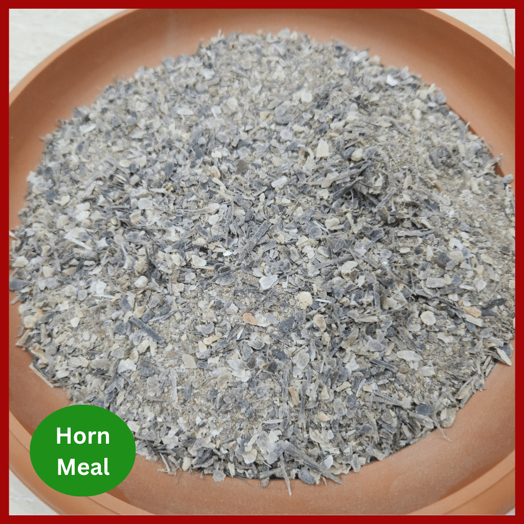 Horn Meal Price - শিং কুচি জৈব সার 3