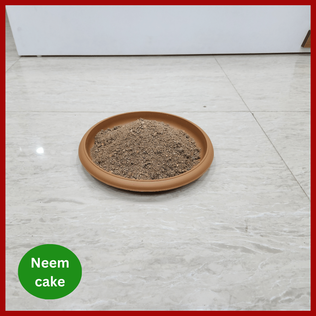 Neem Cake Fertilizer - নিম খৈল 3