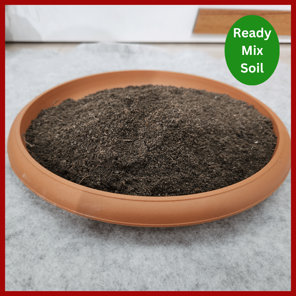 Ready Mix Soil Premium Quality । রেডিমিক্স মাটি 3