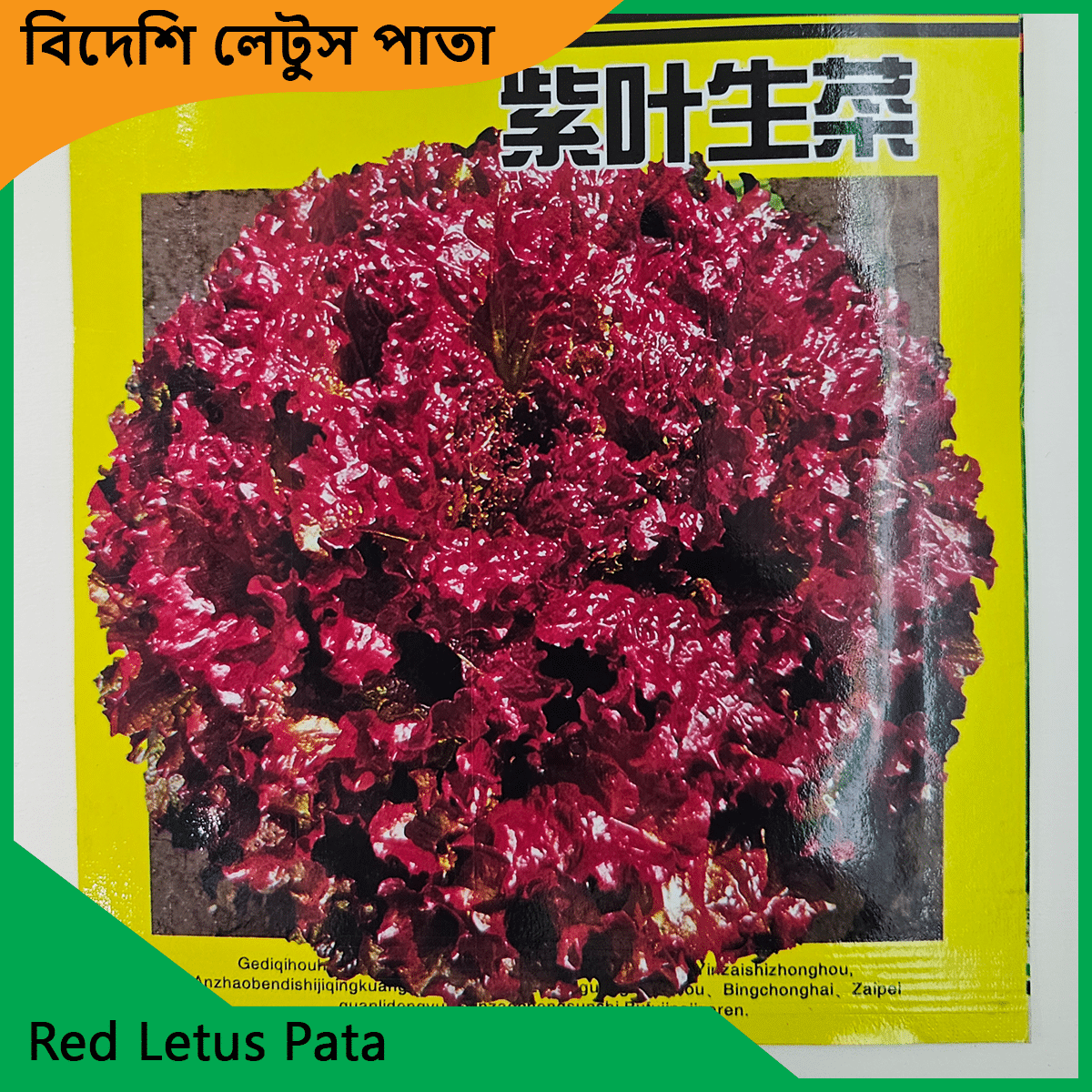Letus pata seeds - লেটুস পাতার বীজ 3