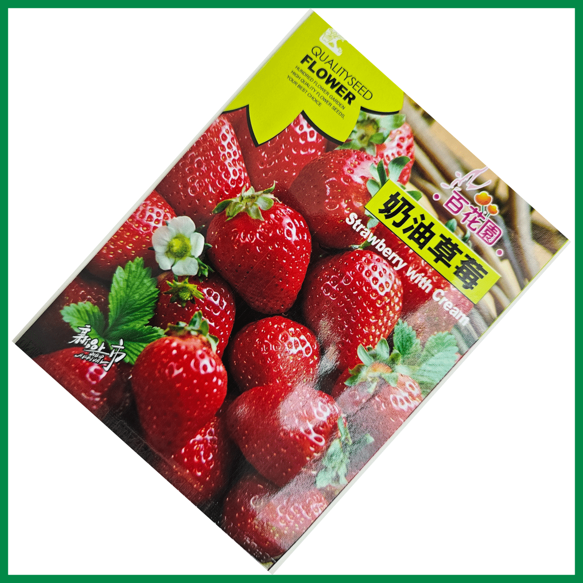 Strawberry Seeds - লাল ও সাদা বিদেশি স্ট্রবেরির বীজ 3