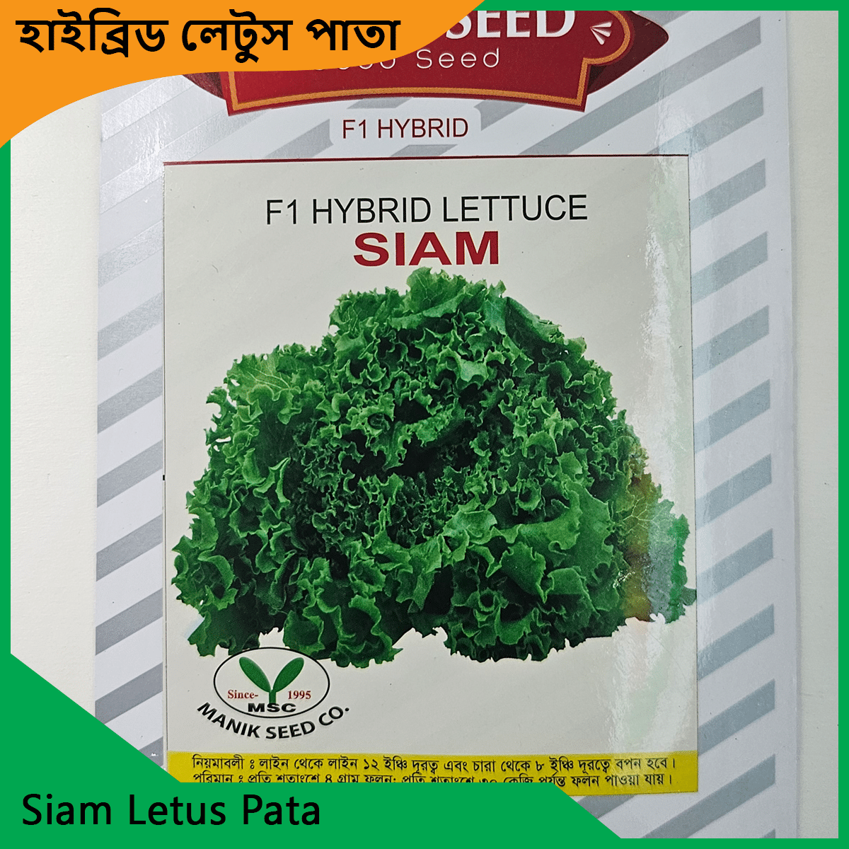 Letus pata seeds - লেটুস পাতার বীজ 4
