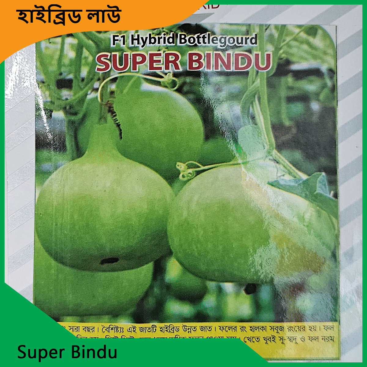 Lau Seeds Price - দেশি বিদেশি সকল লাউয়ের বীজ এক জায়গায় 4