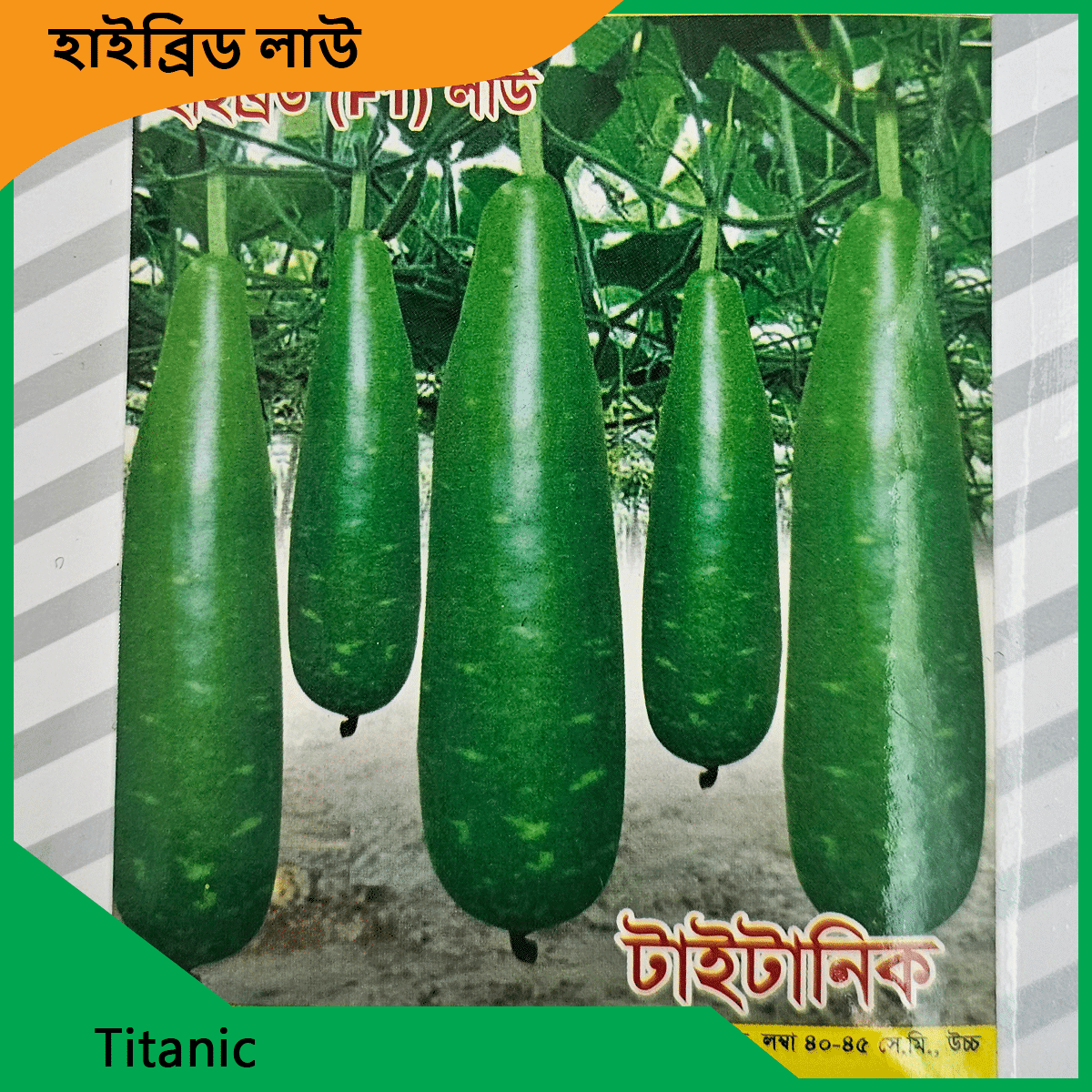 Lau Seeds Price - দেশি বিদেশি সকল লাউয়ের বীজ এক জায়গায় 5