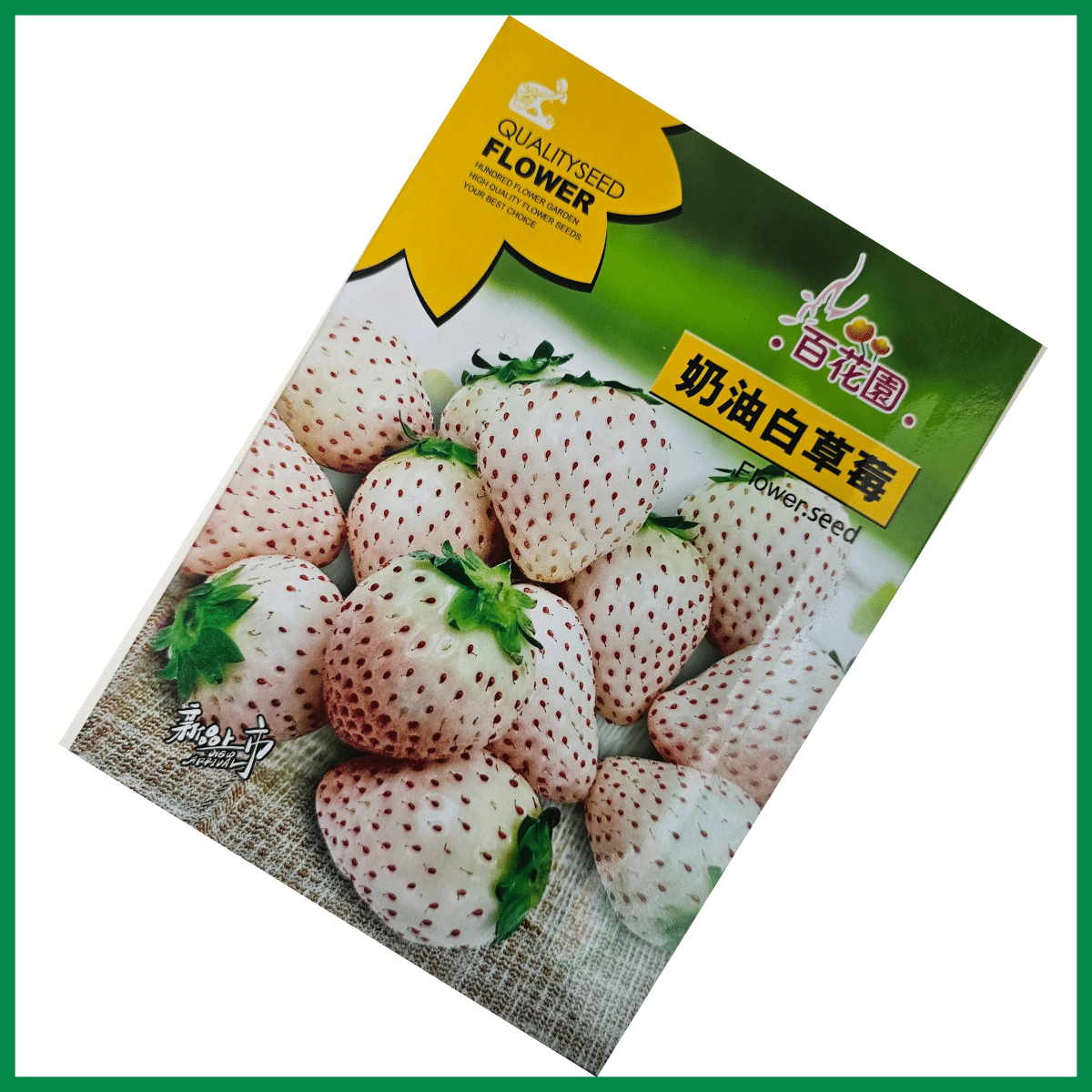 Strawberry Seeds - লাল ও সাদা বিদেশি স্ট্রবেরির বীজ 4