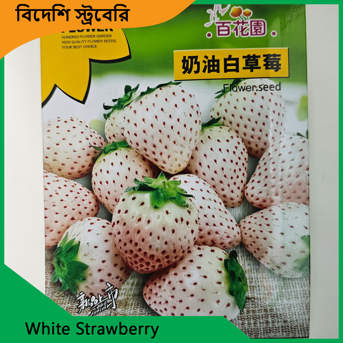 Strawberry Seeds - লাল ও সাদা বিদেশি স্ট্রবেরির বীজ 2