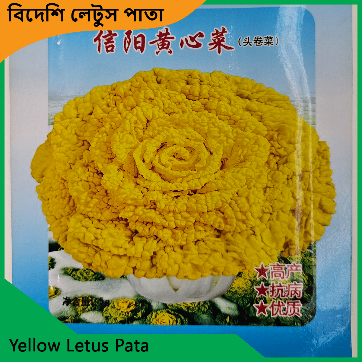 Letus pata seeds - লেটুস পাতার বীজ 5