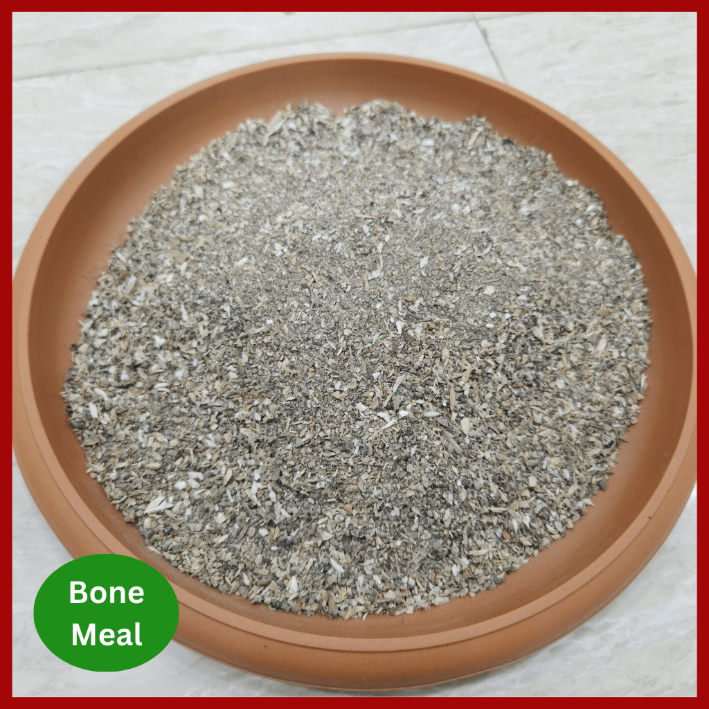 Bone meal fertilizer - হাড়ের গুড়া 3