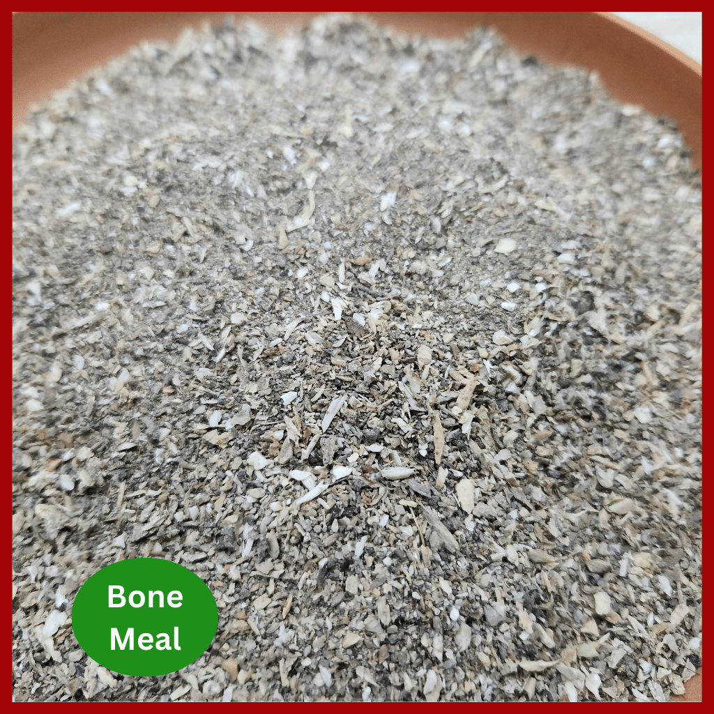 Bone meal fertilizer - হাড়ের গুড়া 4
