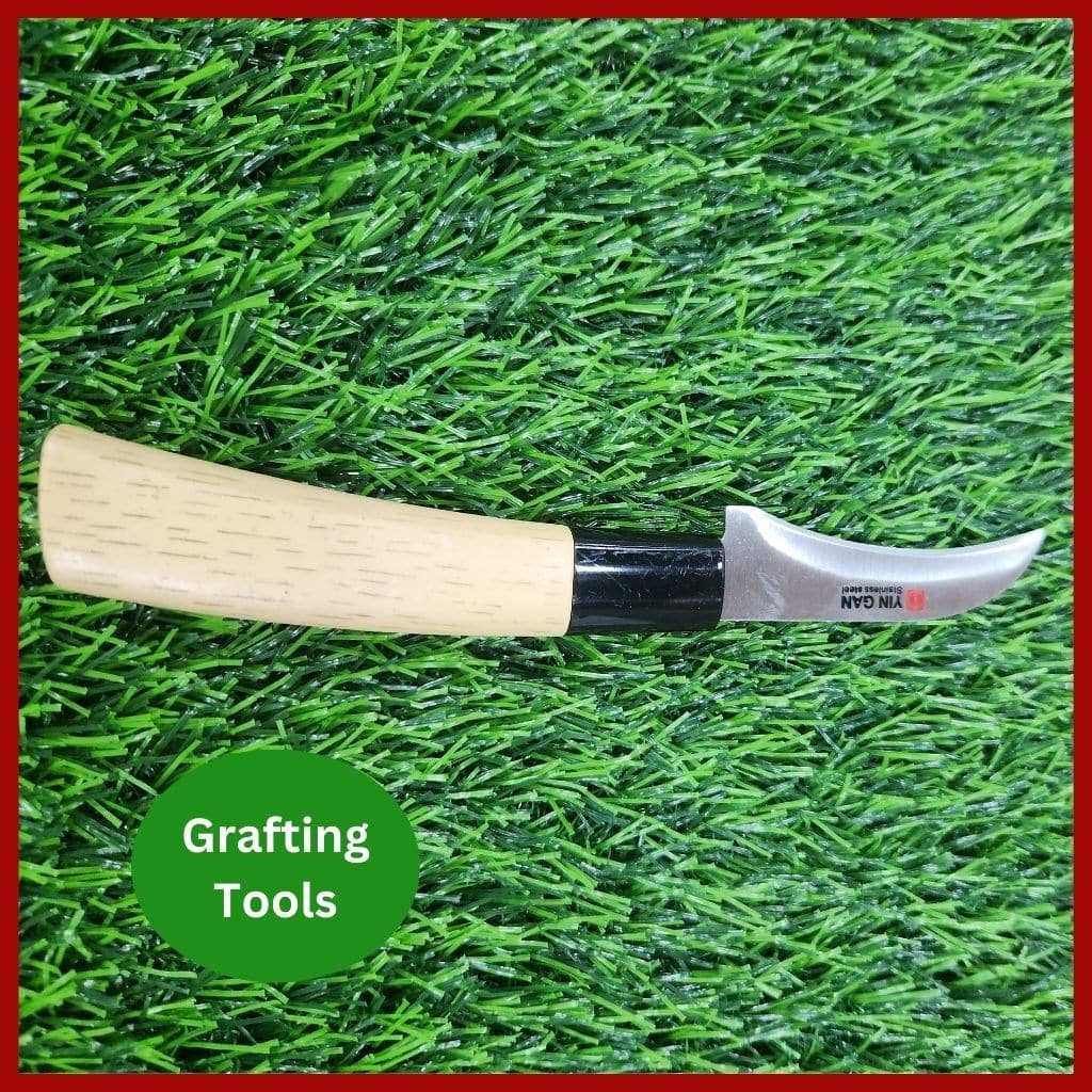 Grafting knife Tools - প্রফেশনাল নার্সারি গ্রাফটিং মাস্টার ছুরি 4