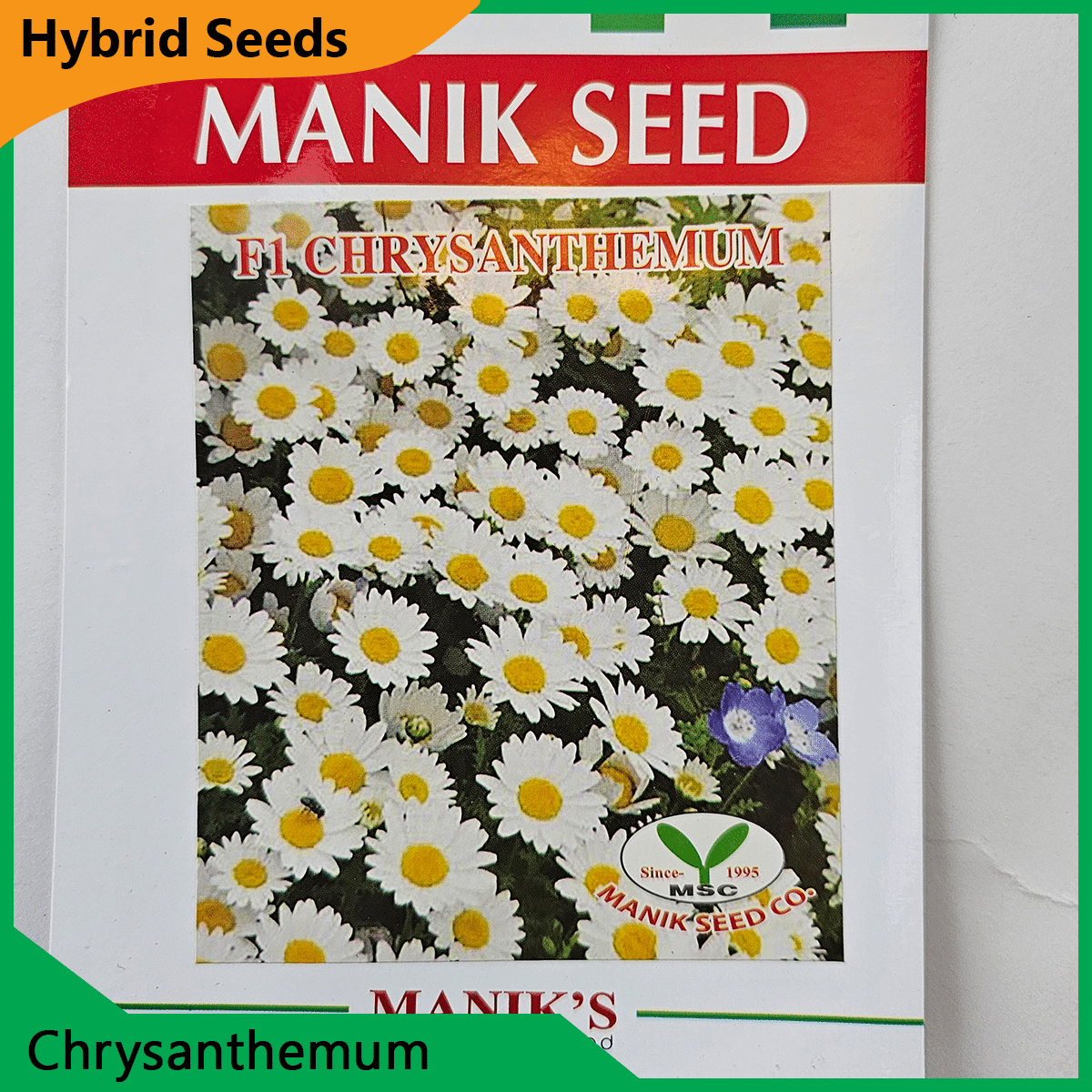 Deshi Flower Seeds - 35+ দেশি ফুলের বীজ 14
