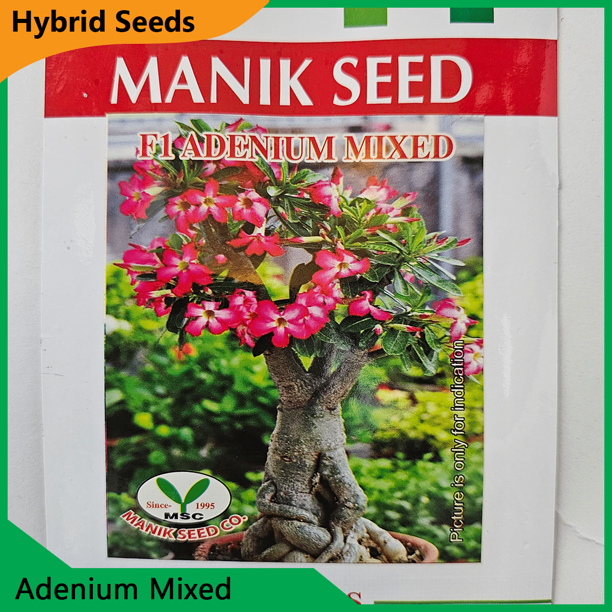 Deshi Flower Seeds - 35+ দেশি ফুলের বীজ