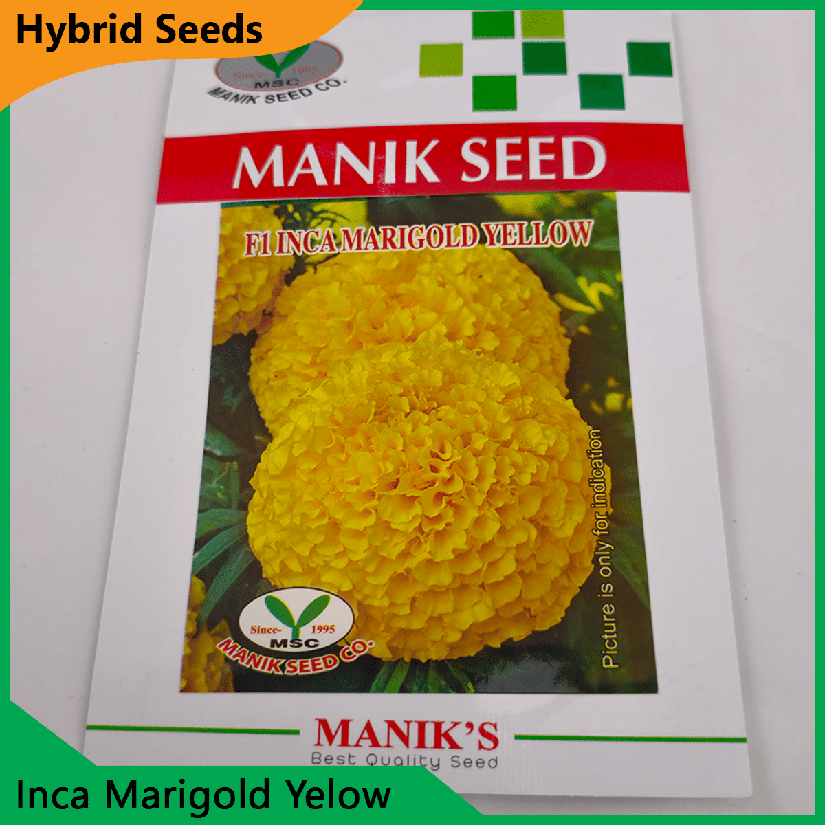 Deshi Flower Seeds - 35+ দেশি ফুলের বীজ 23