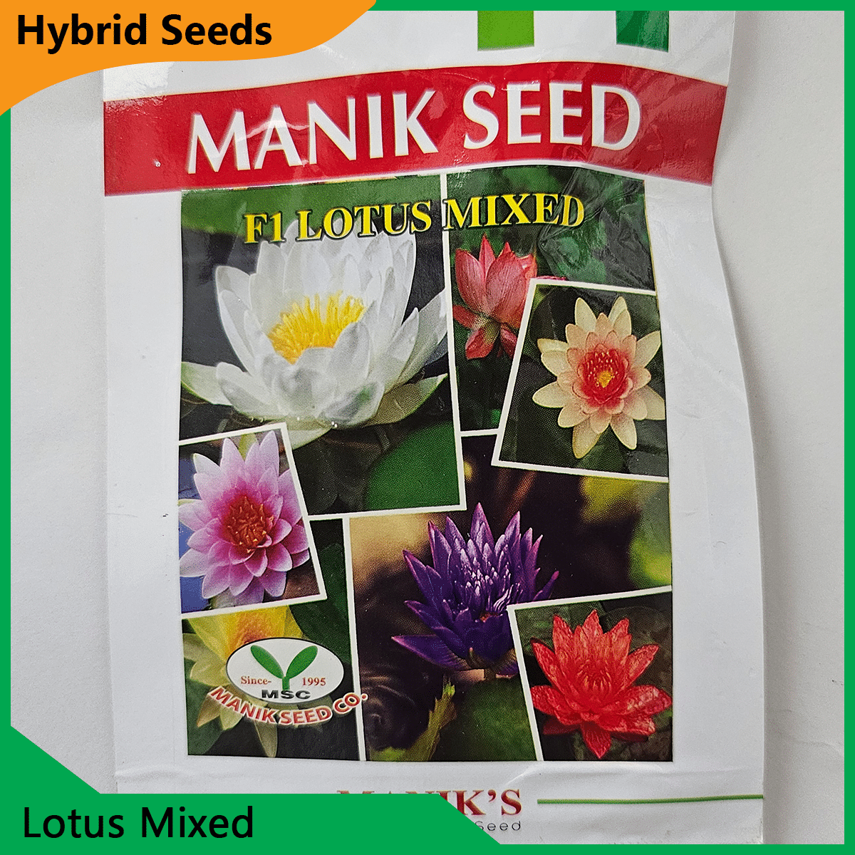 Deshi Flower Seeds - 35+ দেশি ফুলের বীজ 25