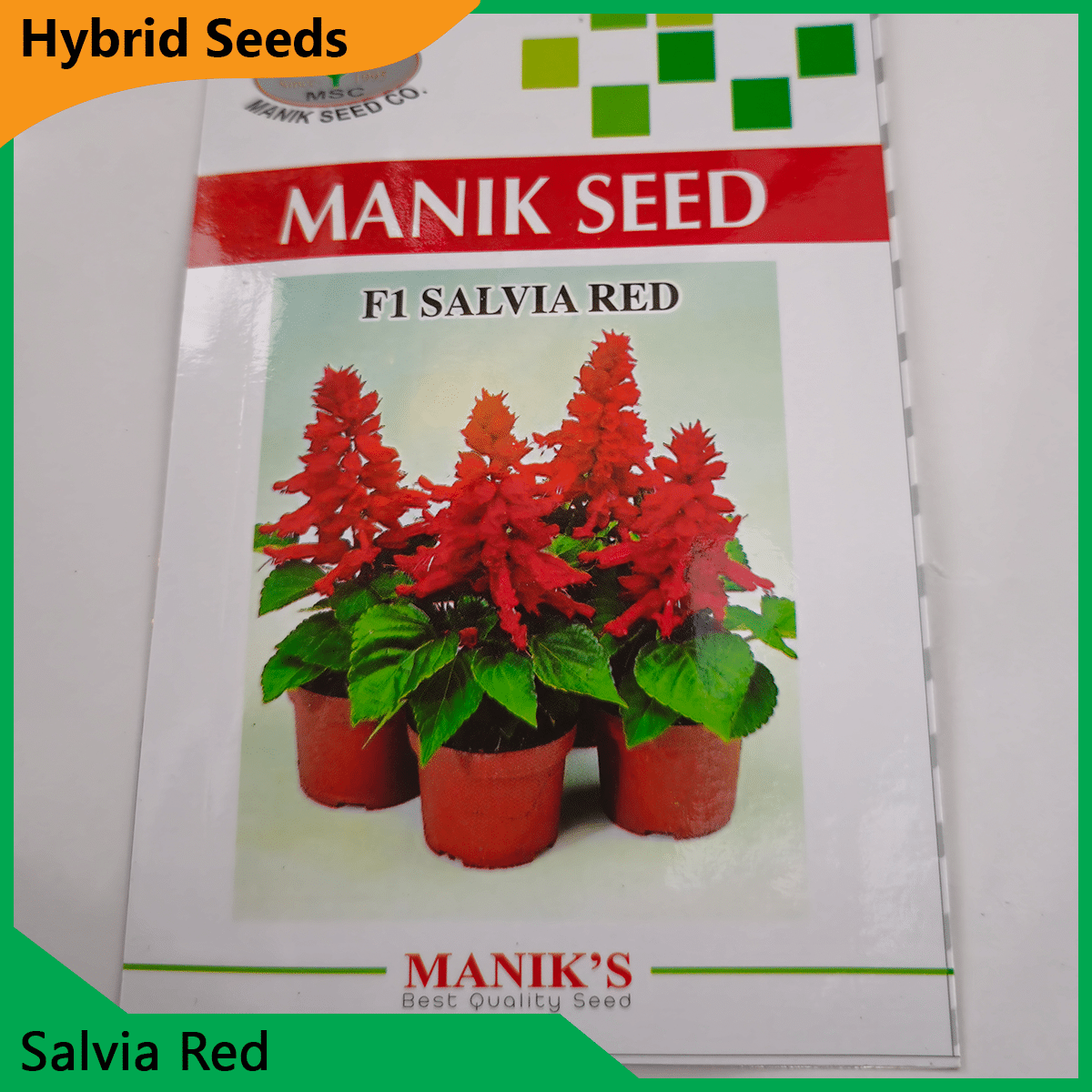Deshi Flower Seeds - 35+ দেশি ফুলের বীজ 32