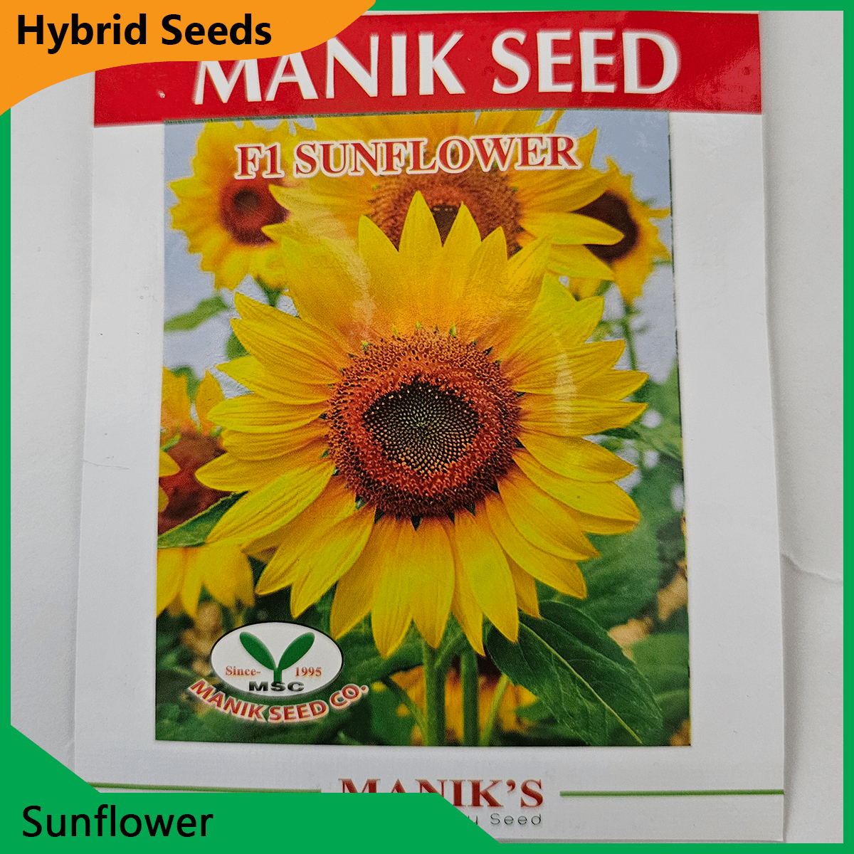 Deshi Flower Seeds - 35+ দেশি ফুলের বীজ 34