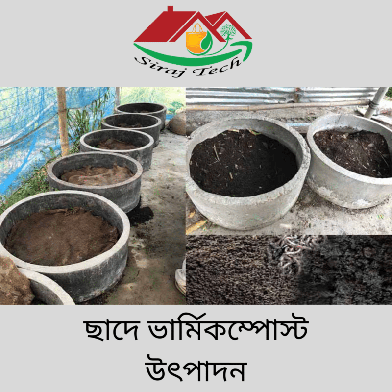 Vermicompost Production
