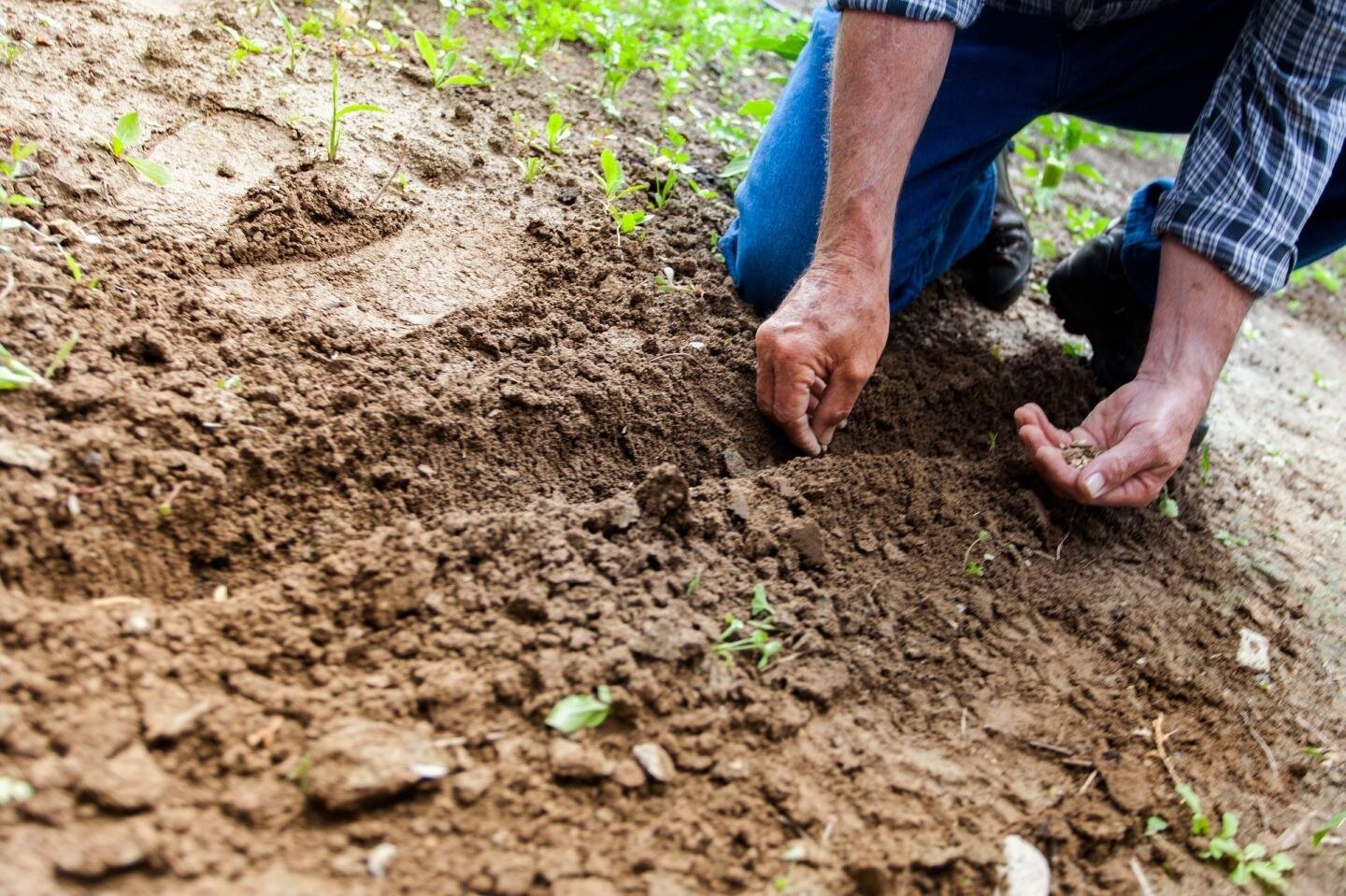 Soil Pollution - কারণ এবং প্রতিকার