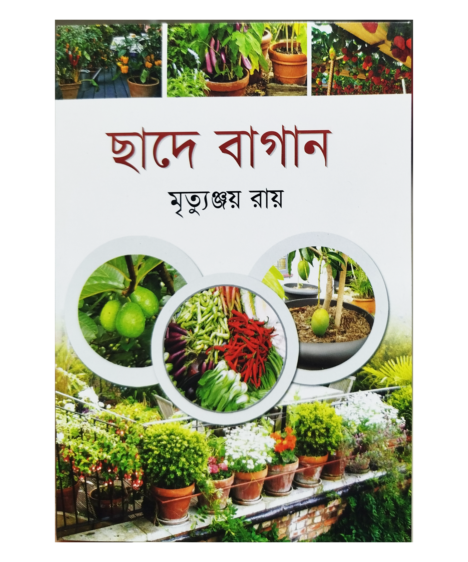 Roof Garden - ছাদে বাগান - মৃত্যুঞ্জয় রায়