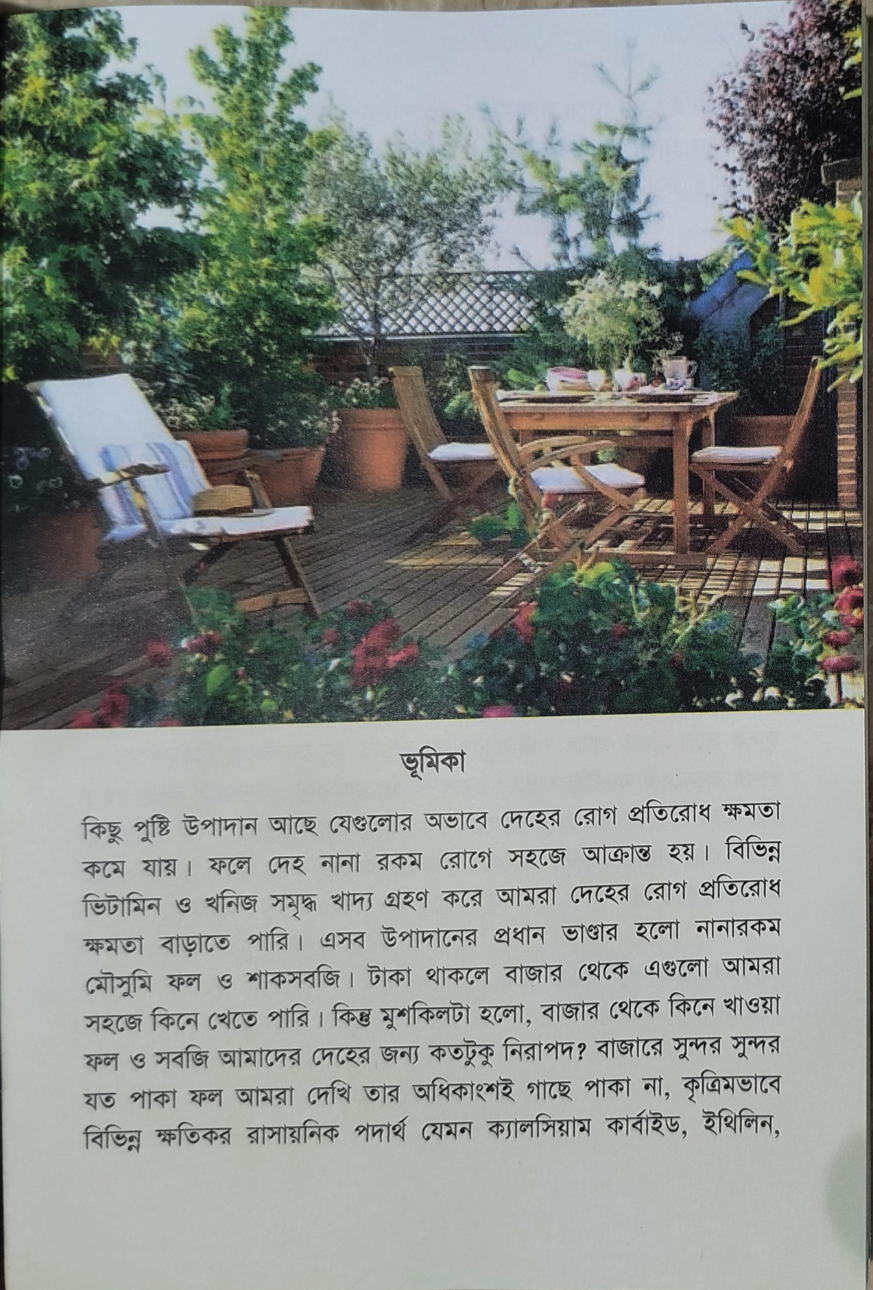 Roof Garden - ছাদে বাগান - মৃত্যুঞ্জয় রায় 3
