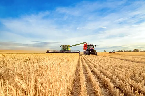 Plane Crop-field: কৃষিজমি কেন এবং কীভাবে সমতল করবো?