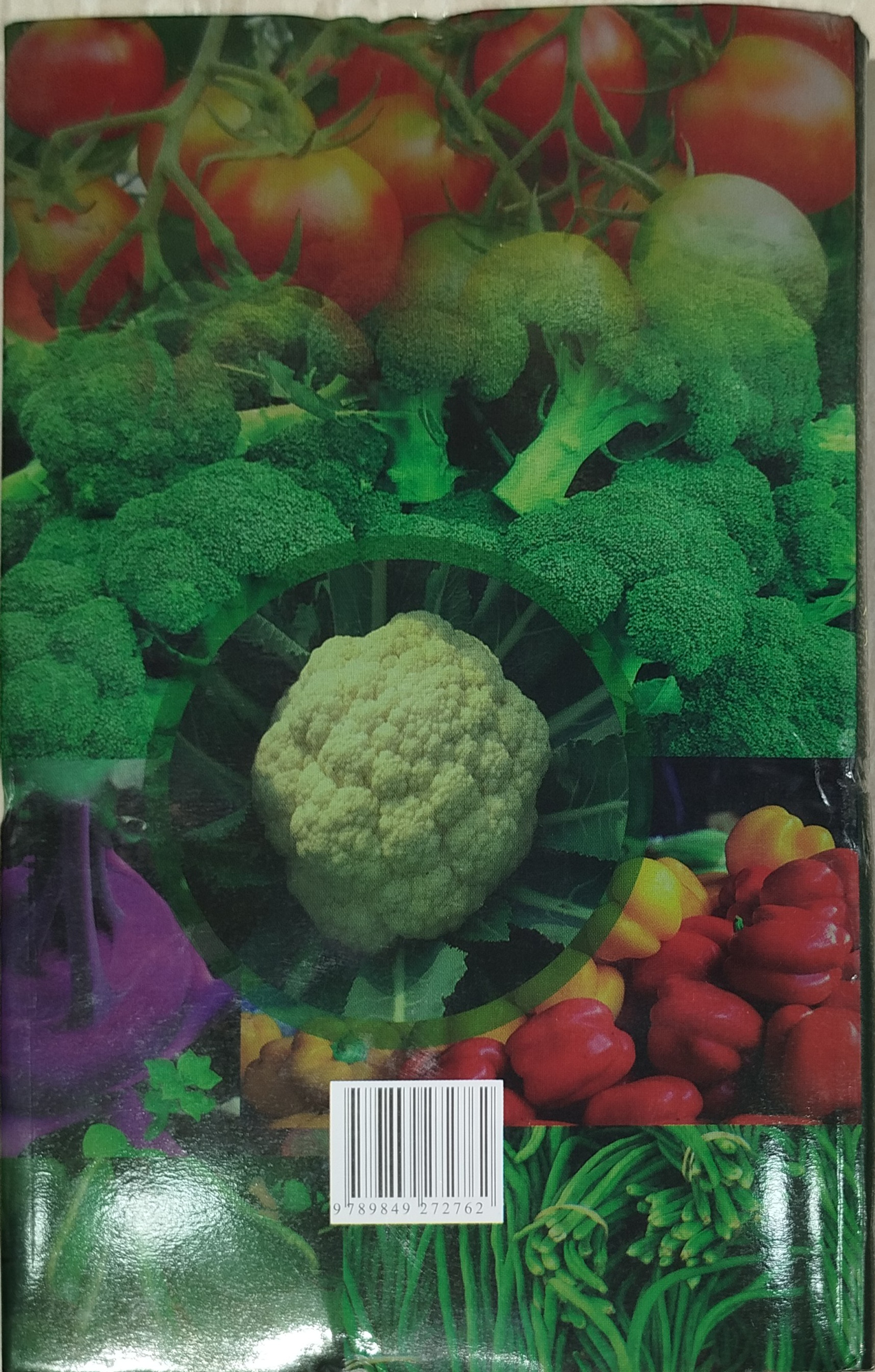Vegetable cultivation throughout the year - বারোমাস সবজি চাষ (মৃত্যুঞ্জয় রায়) 2