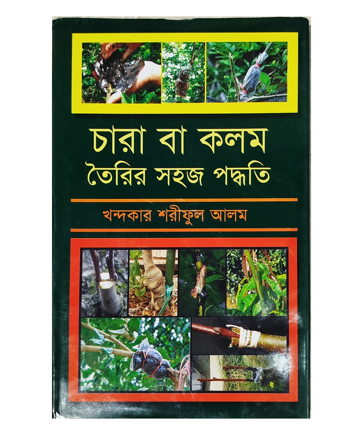 Simple method of making seedlings or cuttings - চারা বা কলম তৈরির সহজ পদ্ধতি (খন্দকার শরীফুল আলম)