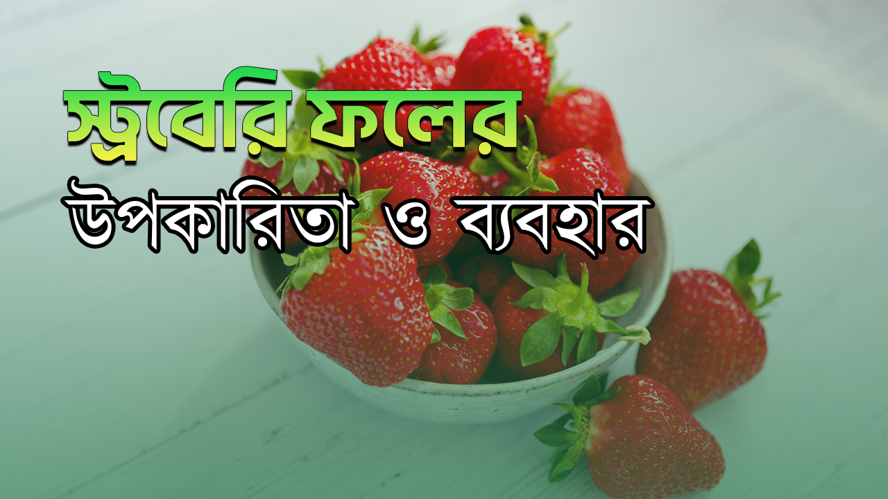 How Strawberries Improve Your Health | স্ট্রবেরি ফলের আশ্চর্যজনক উপকারিতা