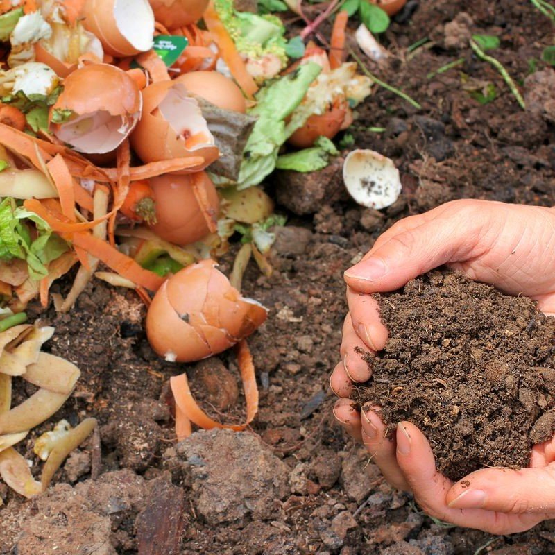 How to use Organic Fertilizer- কিভাবে জৈব সার ব্যবহার করবেন