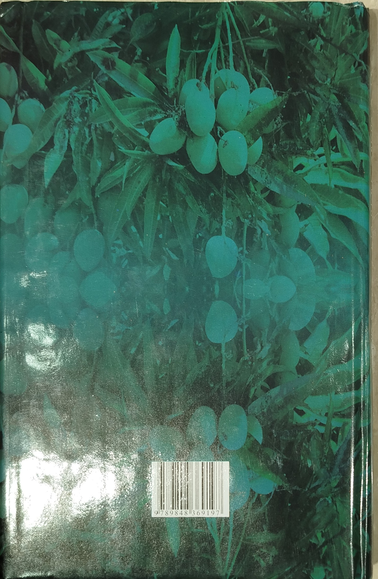 Cultivation of fruits in tubs and in the field 2