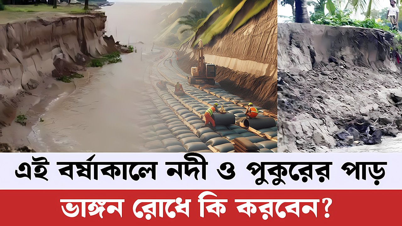 Breakdown prevention - বর্ষাকালে নদীপুকুরের পাড়ভাঙ্গন রোধে কি করবেন