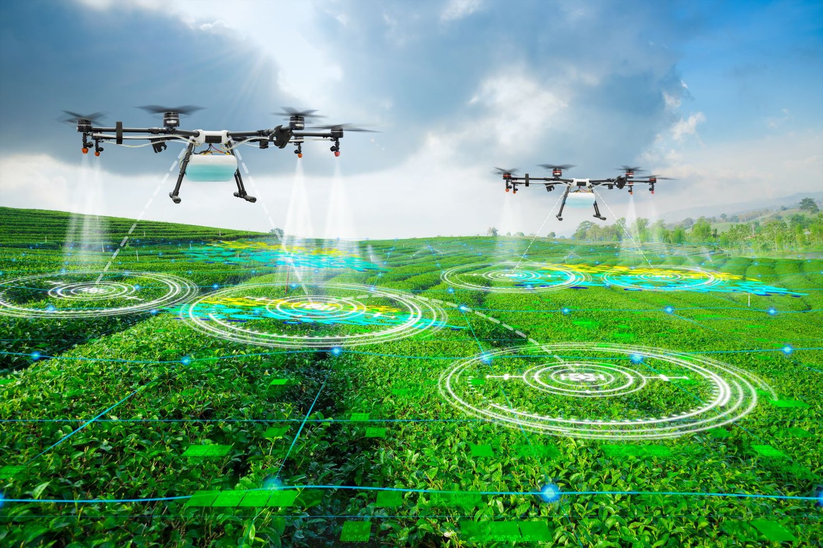 Drone Technology Agriculture - কৃষি কাজে ড্রোন প্রযুক্তির ব্যবহার