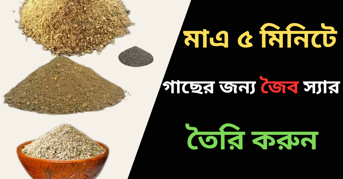 Make organic fertilizer - গাছের জন্য জৈব স্যার তৈরি করুন।