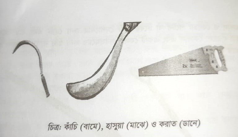 কাঁচি, হাসুয়া, করাত