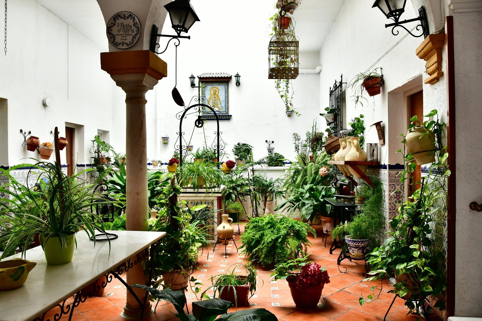 The equation of time is the roof garden - সময়ের সমীকরণে ছাদ বাগান।