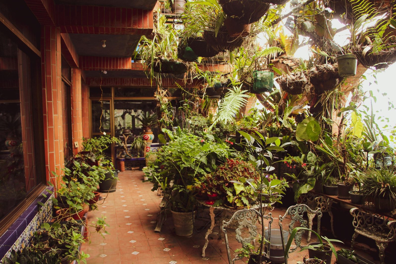 Roof garden design - ছাদ বাগানের নকশা ।
