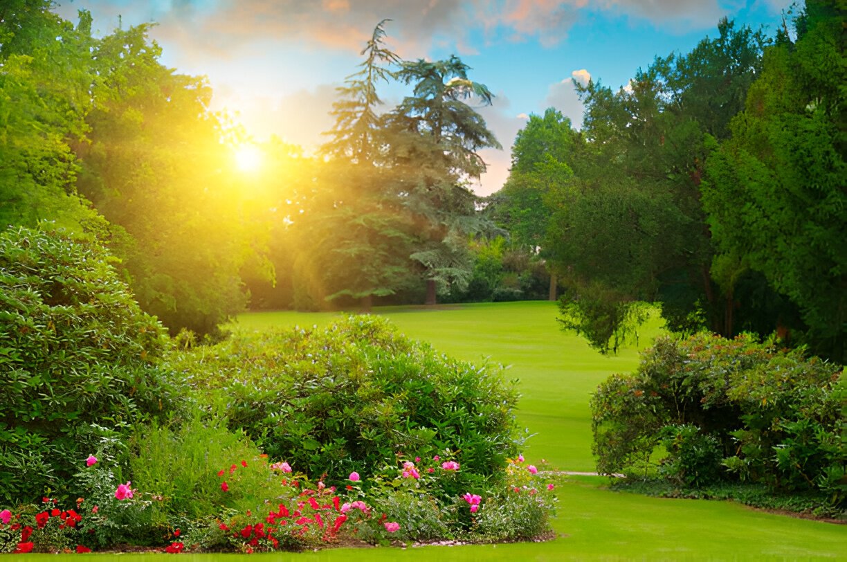 The greatness of the garden - বাগানের মাহাত্ম্য।