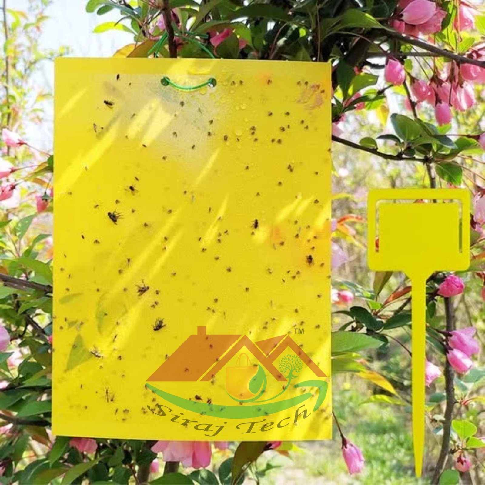 Yellow Sticky Trap | পোকা দমনে হলুদ ফাঁদ 4