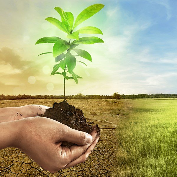 Climate Change Adaptation - জলবায়ু অভিযোজনমূলক কৃষি পদ্ধতি