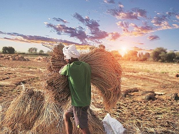 Disaster Preparedness Agriculture - দুর্যোগ মোকাবেলায় কৃষকদের প্রস্তুতি ও করণীয়